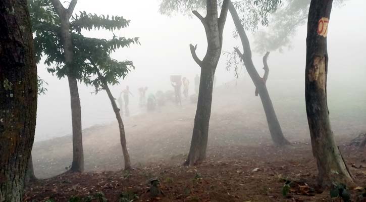 ১০ ডিগ্রিতে নামল তেঁতুলিয়ার তাপমাত্রা